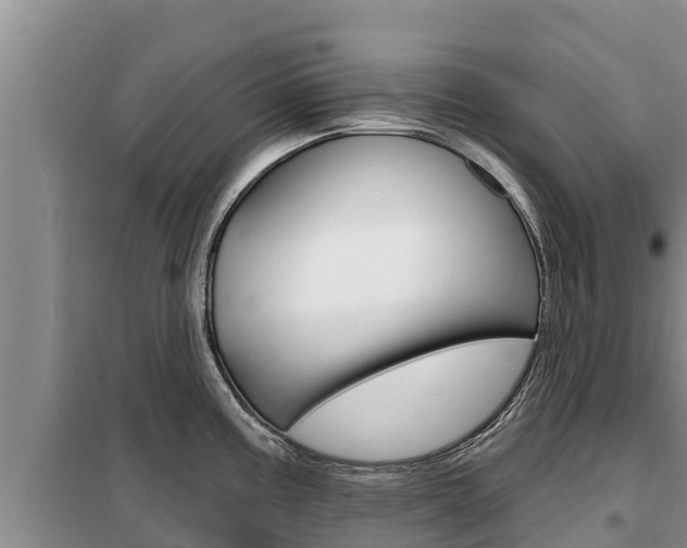 X0000099421195200805090743