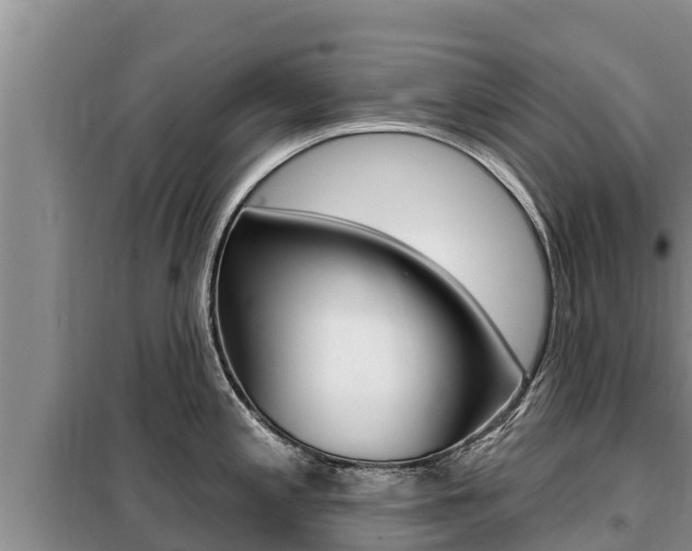 X0000099421197200805090743