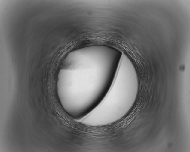 X0000099421201200805090743