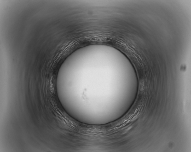 X0000099421202200805090743