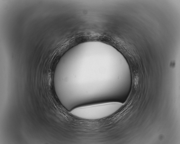 X0000099421204200805090743