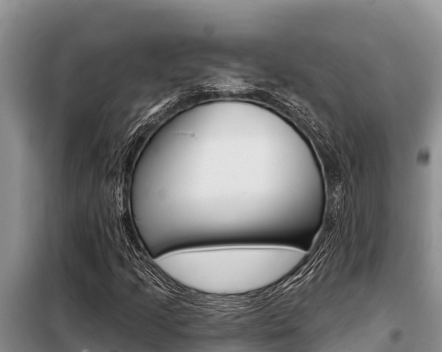 X0000099421205200805090743
