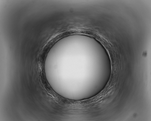 X0000099421206200805090743