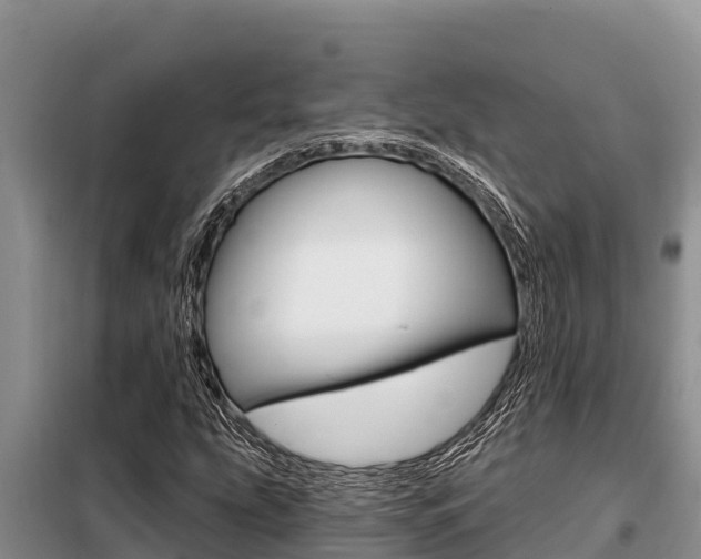 X0000099421207200805090743