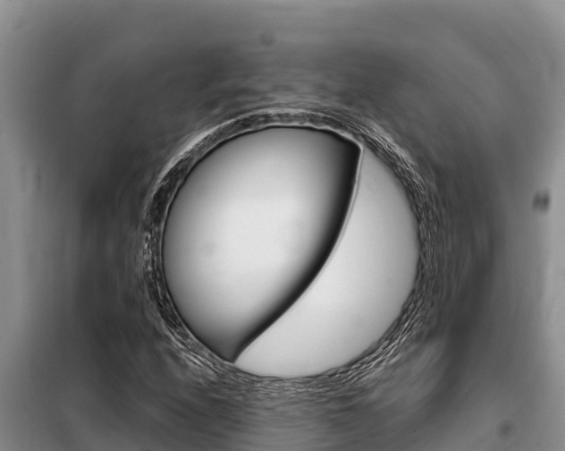 X0000099421208200805090743