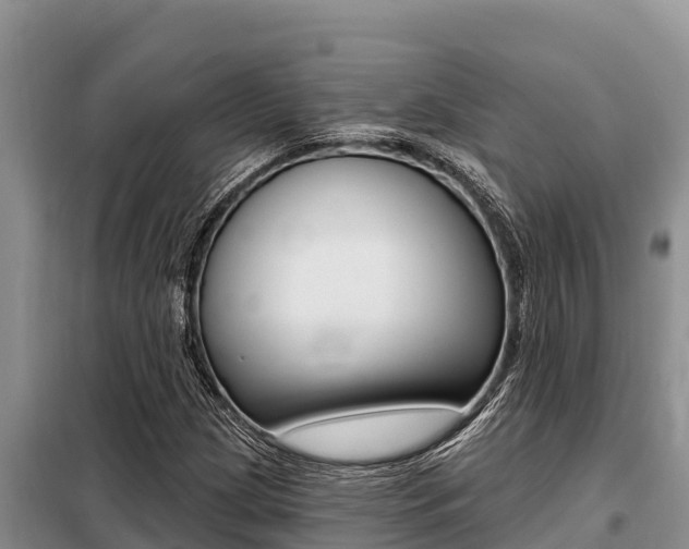X0000099421209200805090743