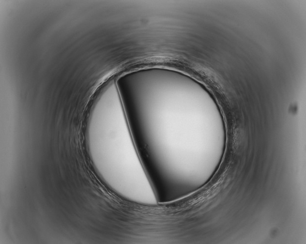 X0000099421210200805090743