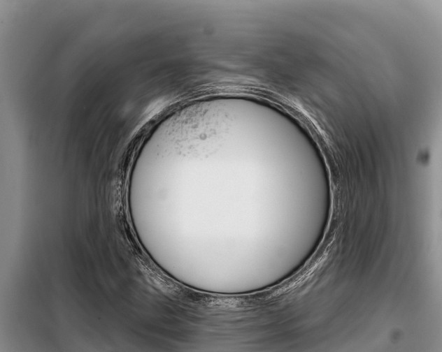 X0000099421211200805090743