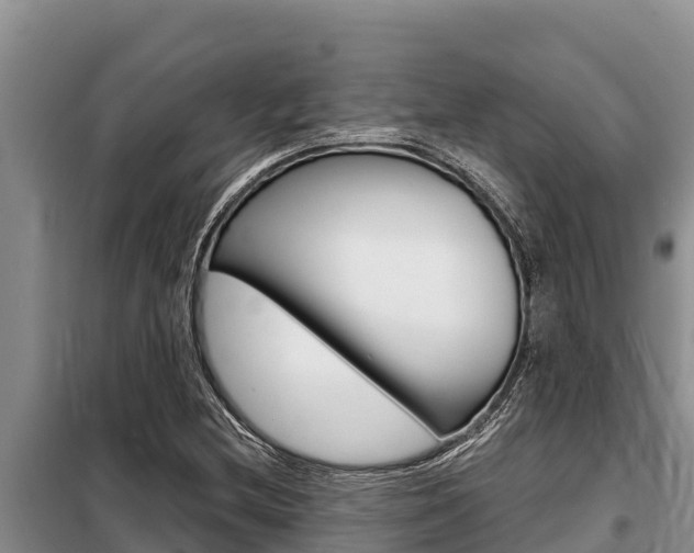 X0000099421212200805090743