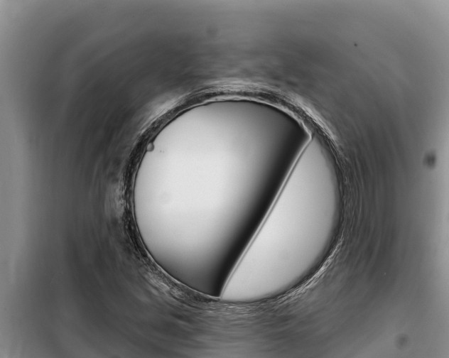 X0000099421213200805090743