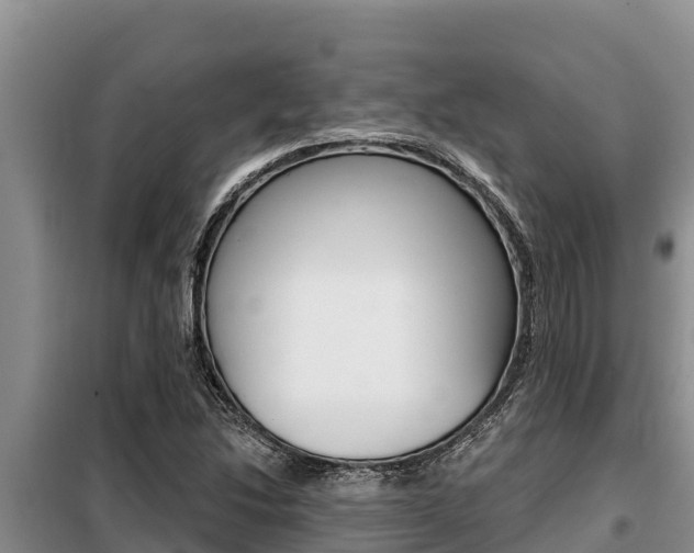 X0000099421214200805090743