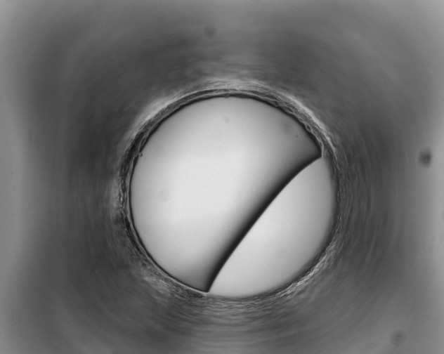 X0000099421215200805090743