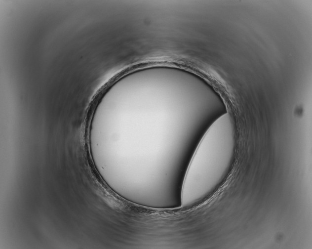X0000099421216200805090743