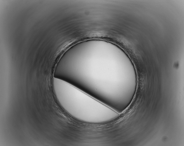 X0000099421217200805090743