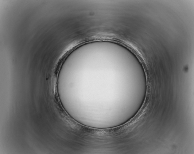X0000099421219200805090743