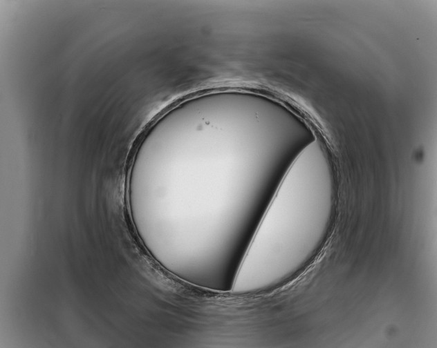 X0000099421220200805090743
