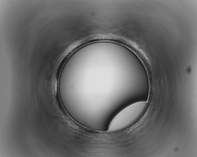 X0000099421221200805090743
