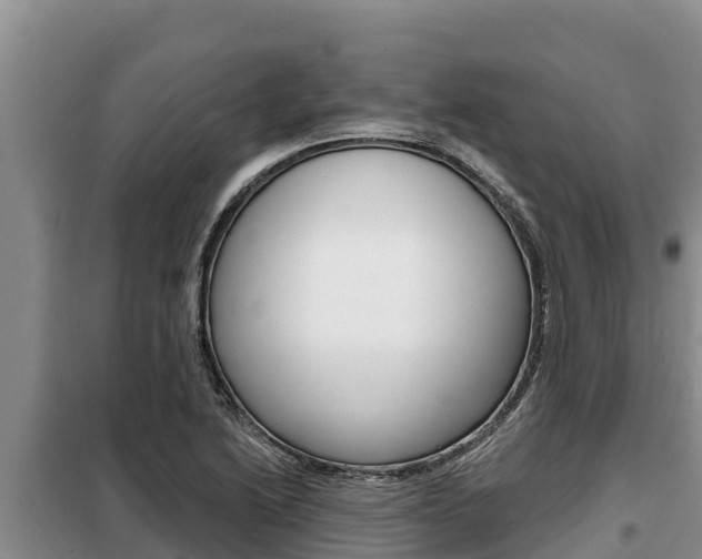 X0000099421222200805090743