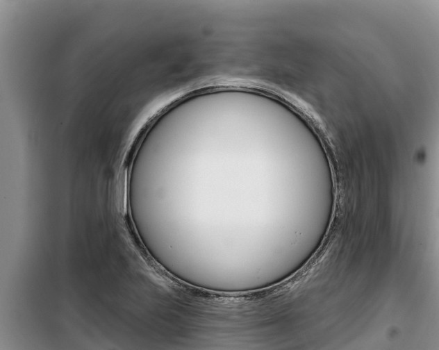 X0000099421223200805090743