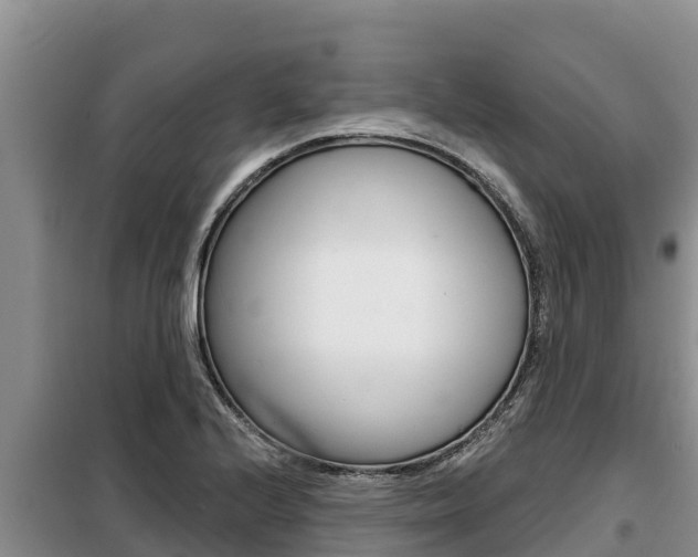 X0000099421224200805090743