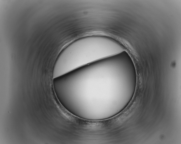 X0000099421225200805090743