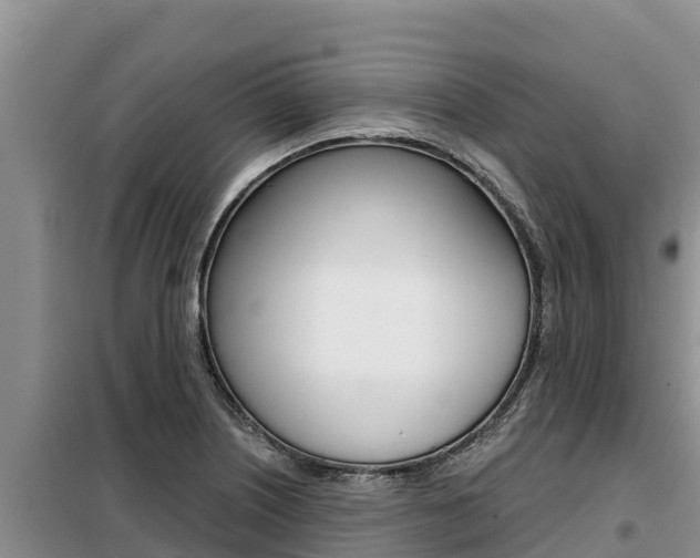 X0000099421226200805090743