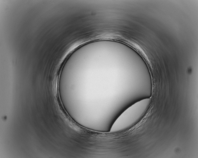 X0000099421227200805090743