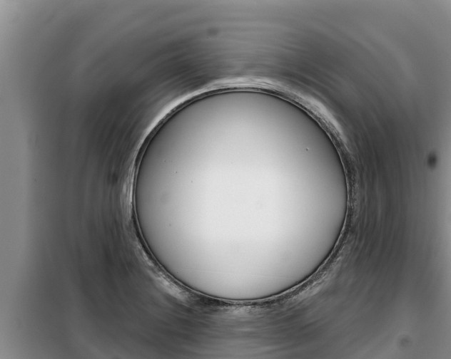 X0000099421228200805090743