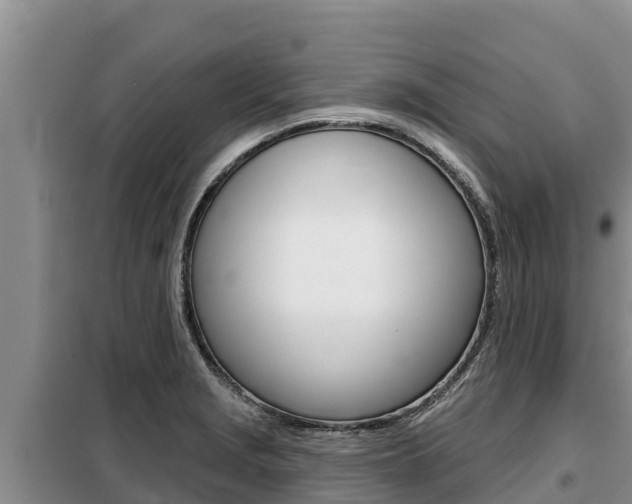 X0000099421229200805090743