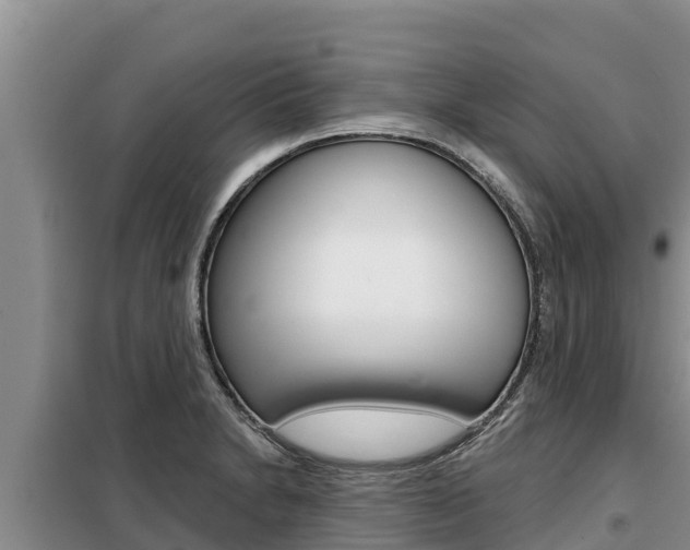 X0000099421230200805090743