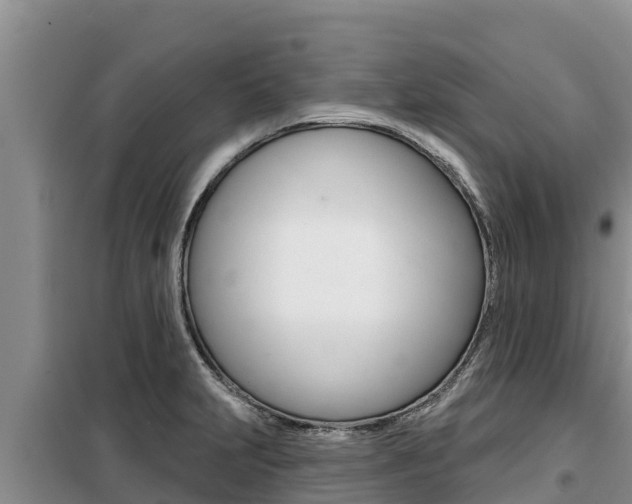 X0000099421231200805090743