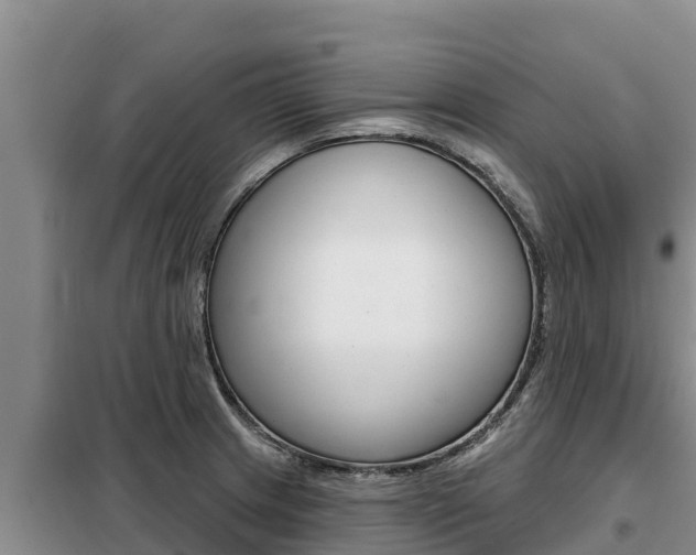 X0000099421233200805090743