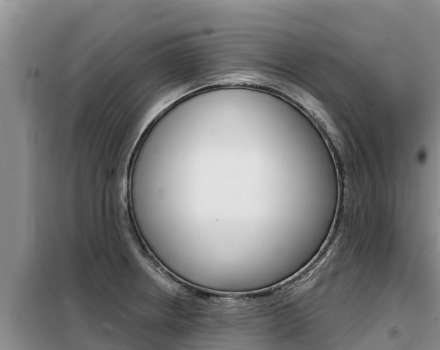 X0000099421234200805090743