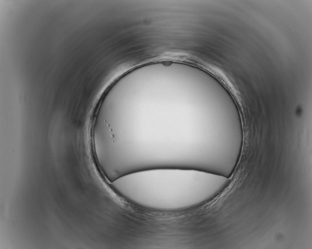 X0000099421235200805090743