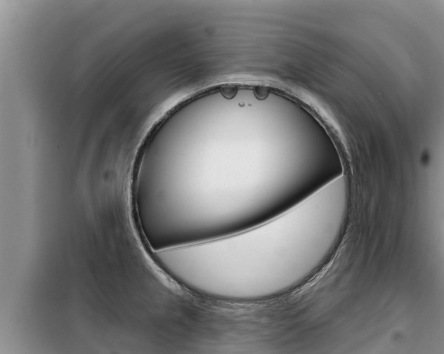 X0000099421237200805090743