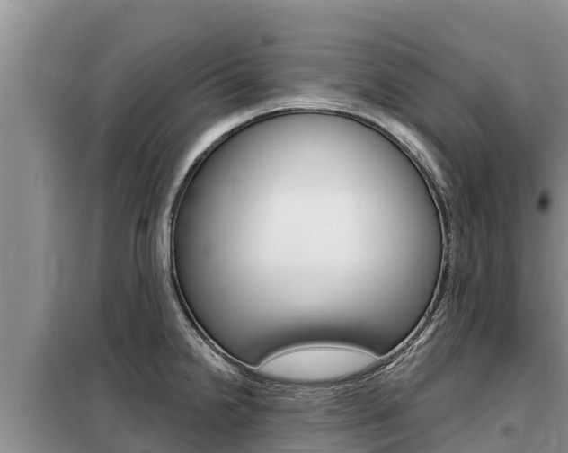 X0000099421238200805090743
