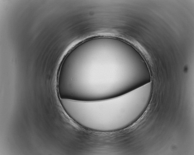 X0000099421240200805090743
