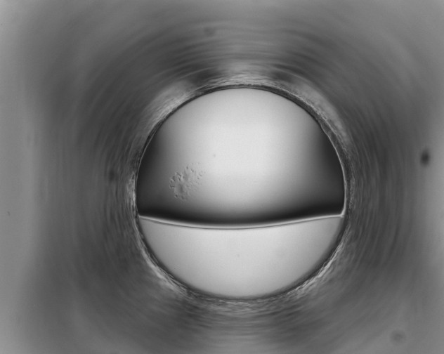 X0000099421241200805090743