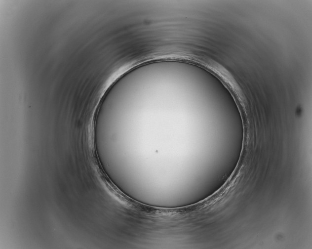 X0000099421242200805090743