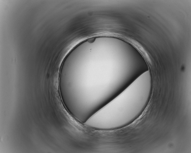 X0000099421244200805090743