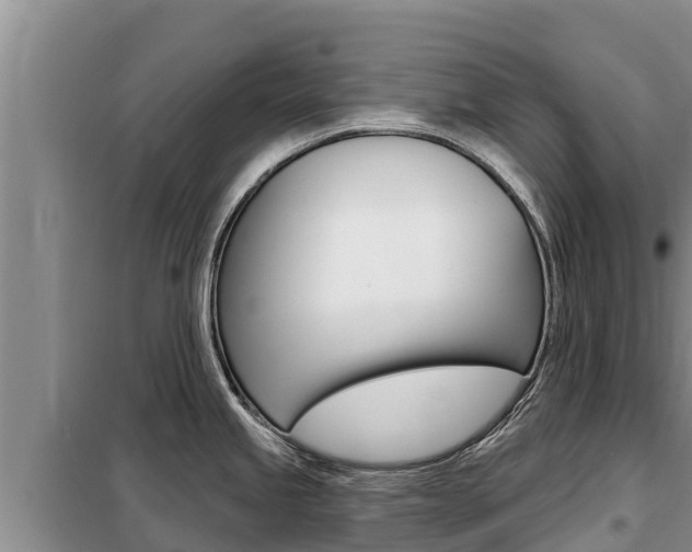X0000099421245200805090743