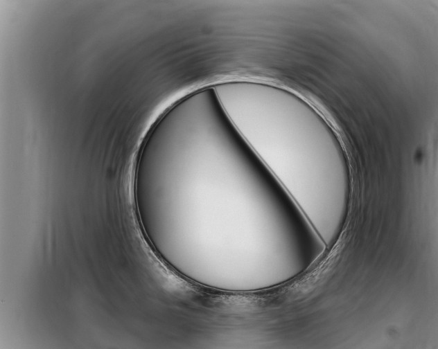 X0000099421246200805090743