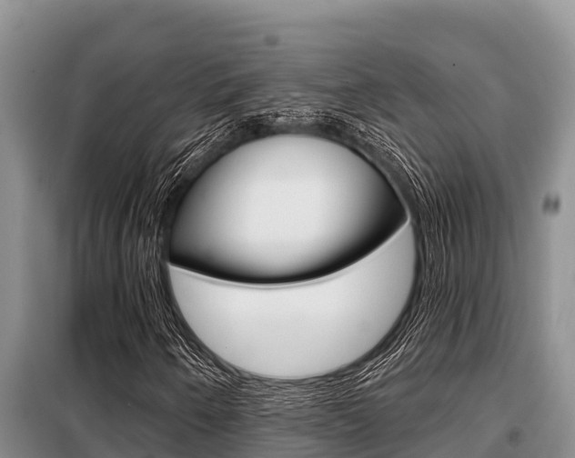 X0000099421250200805090743