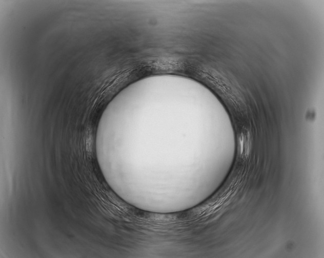 X0000099421251200805090743
