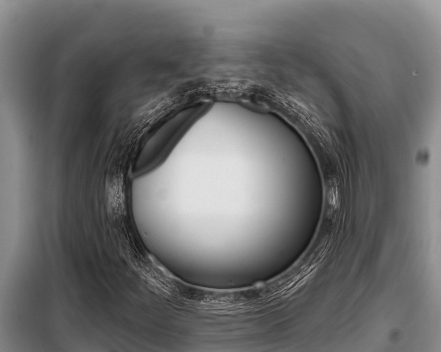 X0000099421252200805090743