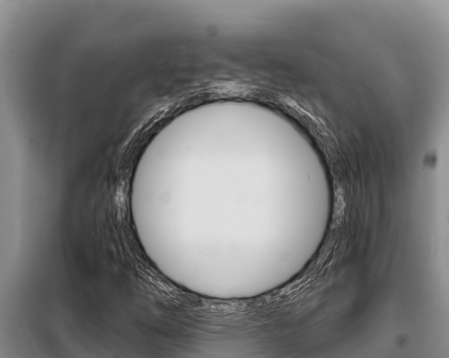 X0000099421254200805090742