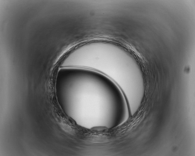 X0000099421256200805090742