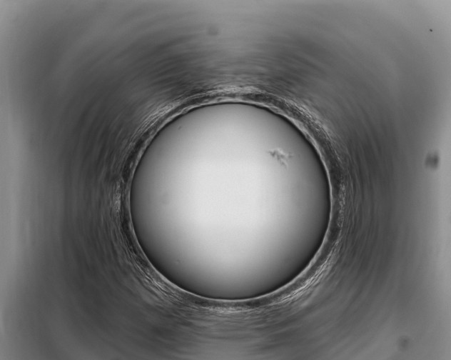 X0000099421257200805090742