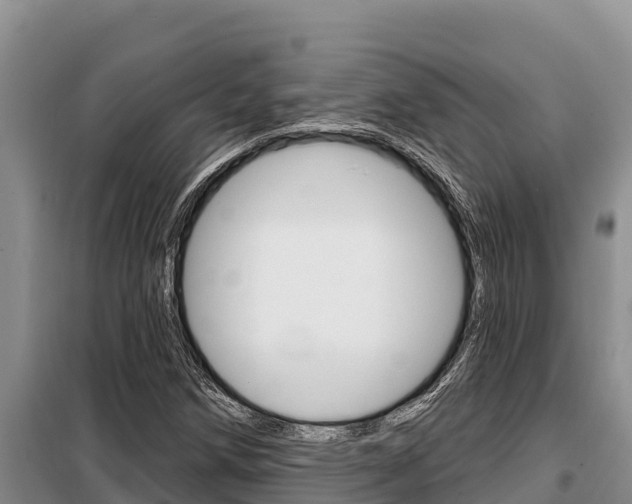 X0000099421258200805090742