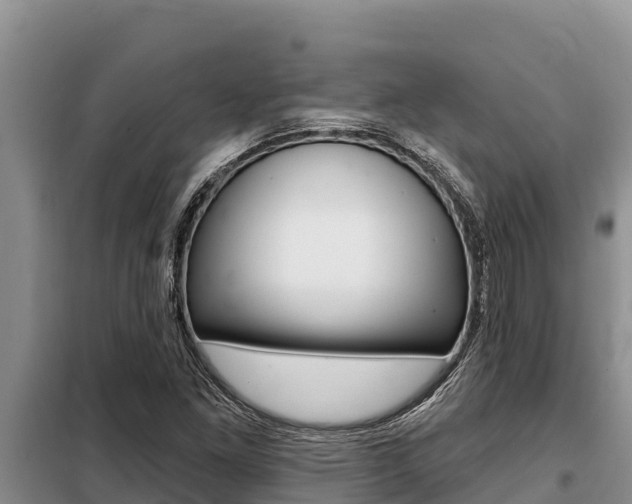 X0000099421261200805090742